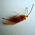 Borki´s Bonefish Slider &raquo; click to view more info