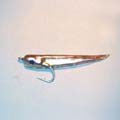 Gummy Minnow &raquo; click to view more info