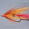 Cooper Shrimp &raquo; click to view more info