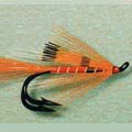 Allys Shrimp &raquo; click to view more info