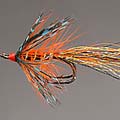Shrimp &raquo; click to view more info