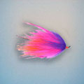 Fireball Leach Fucsia &raquo; click to view more info