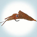 Brown Squid Fly  &raquo; click to view more info