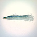 Saltwater Tube Fly &raquo; click to view more info