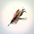 Saltwater Billfish Fly &raquo; click to view more info