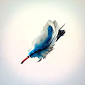 Saltwater Billfish Fly &raquo; click to view more info