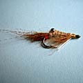 Mousan Shrimp &raquo; click to view more info