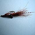 Mousan Shrimp &raquo; click to view more info