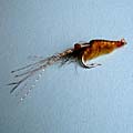 DB Shrimp &raquo; click to view more info