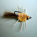 Rag Head Crab &raquo; click to view more info