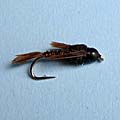 Bead Head Pheasant Tail &raquo; click to view more info