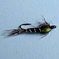 Stonefly &raquo; click to view more info