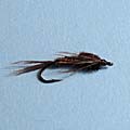 Pheasant Tail &raquo; click to view more info