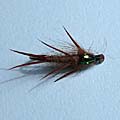 Flashback Stonefly &raquo; click to view more info