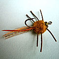 Brown Special Crab &raquo; click to view more info