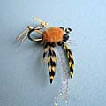 Rattlin Crab &raquo; click to view more info