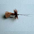 Goddard Caddis &raquo; click to view more info