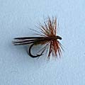 Tomcat Caddis &raquo; click to view more info