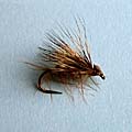 Elk Caddis &raquo; click to view more info