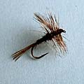 Midge &raquo; click to view more info