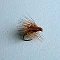 Elk Hair Caddis &raquo; click to view more info