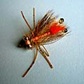Peterson´s Spawing Crab &raquo; click to view more info