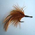 Brown Trapon Fly &raquo; click to view more info