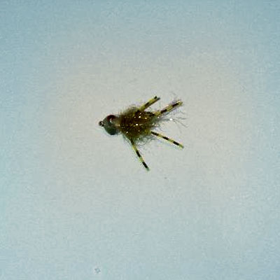 Bonefish Fly Boogle Head Olive # 6, 8