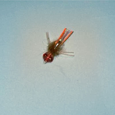 Bonefish Fly Boogle Head Perl # 6, 8