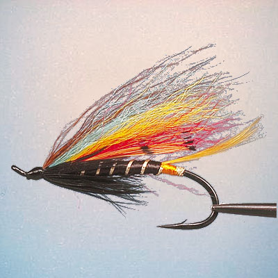 Wet Fly Black Dose 4 - 6 - 8 - 10 - 12