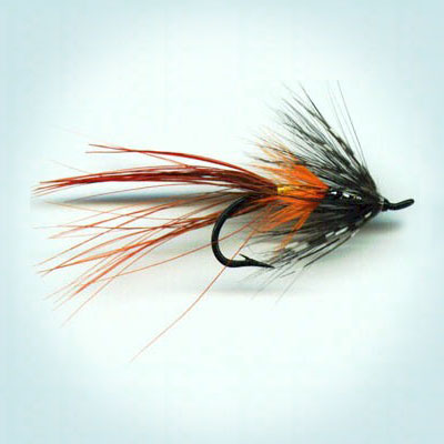 Wet Fly Jock Shrimp 4 - 6 - 8- 10 - 12
