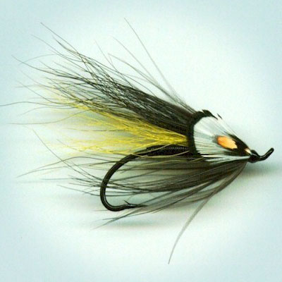 Wet Fly Picasee 4 -6 - 8 - 10 -12