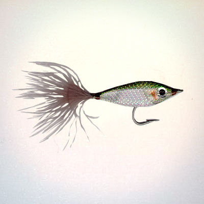 Wet Fly Saltwater sardine # 2 - 1 - 1/0