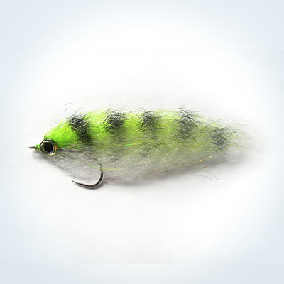 Wet Fly EP Green Sardine # 1/0 - 2/0 - 3/0