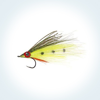 Wet Fly Peacock Agitator 