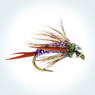Ninfa/Caddis Ninfa Bjorns Purple Pretty 