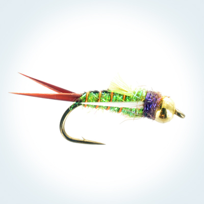 Nymph/Caddis Nymph Psycho Prince Nymph Caddis Green # 2, # 4, # 6 