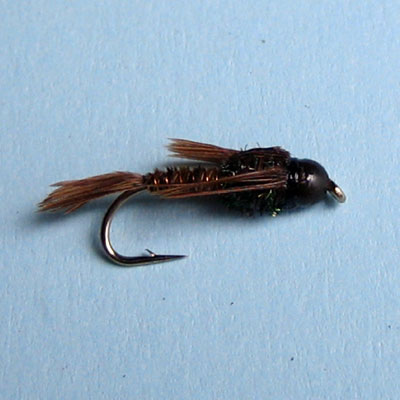 Nymph/Caddis Nymph Bead Head Pheasant Tail # 10, 12, 14, 16