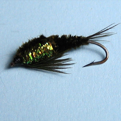 Nymph/Caddis Nymph Stonefly # 6, 8, 10, 12, 14