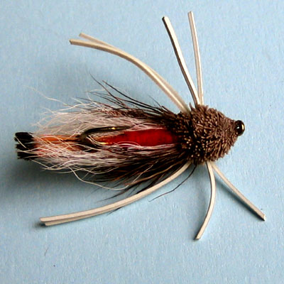 Terrestrial Fly Tarantula # 1, 6, 8, 10, 12