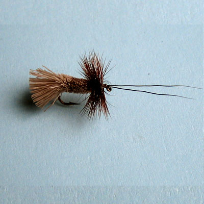 Dry Fly Goddard Caddis # 10, 12, 14, 16