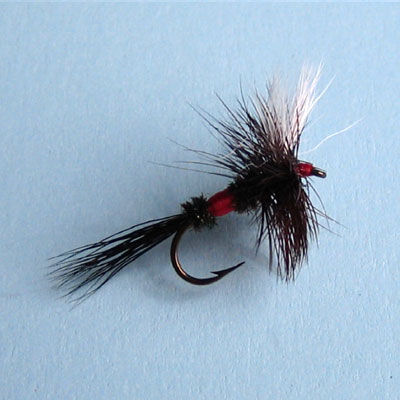 Dry Fly Royal Wulf # 10, 12, 14, 16