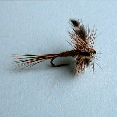 Dry Fly Adams # 12, 14, 16, 18