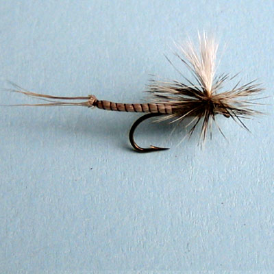 Nymph/Caddis Nymph Para Ex Myfly # 10, 12, 14, 16