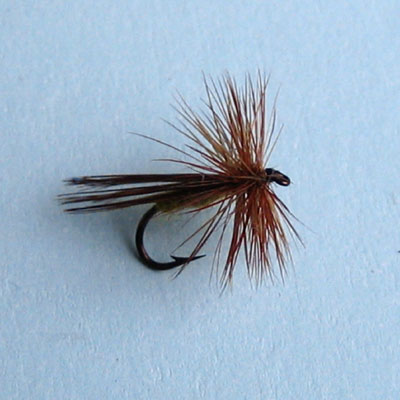 Dry Fly Tomcat Caddis # 12, 14, 16
